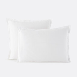 Scenario Cotton Percale 200 Thread Count Pillowcase