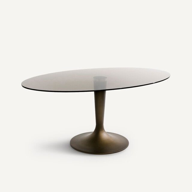 Seona Smoked Glass Oval Dining Table - image 1