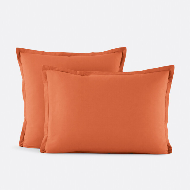 Scenario Cotton Percale 200 Thread Count Pillowcase - image 1