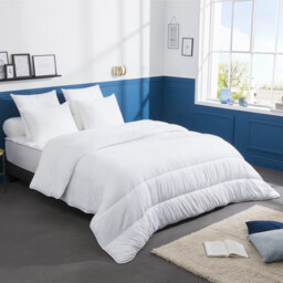 4 Seasons Duvet Plump & Anti-Dust Mite - thumbnail 1