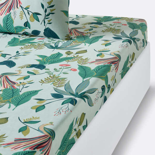 Somerset Tropical Cotton Percale 200 Thread Count Fitted Sheet