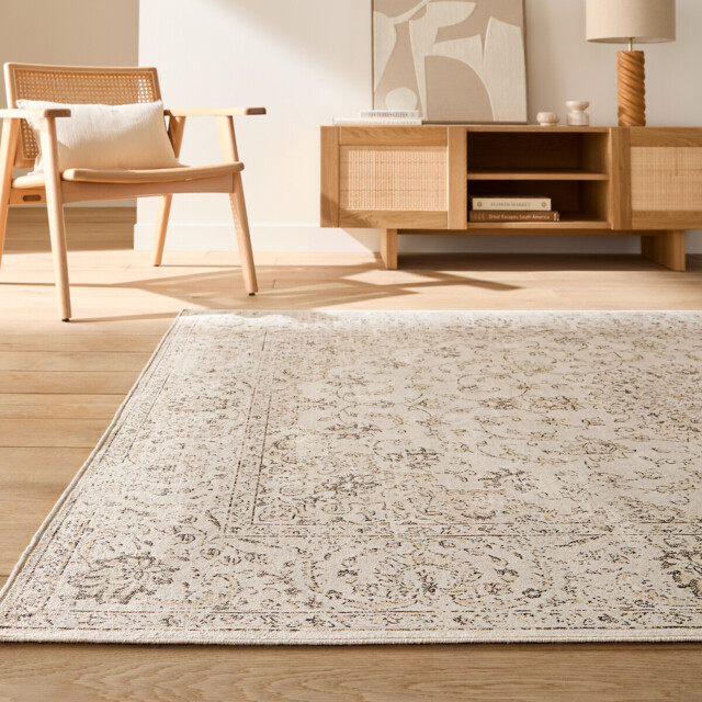 Diona Printed Used Effect Vintage Rug - image 1