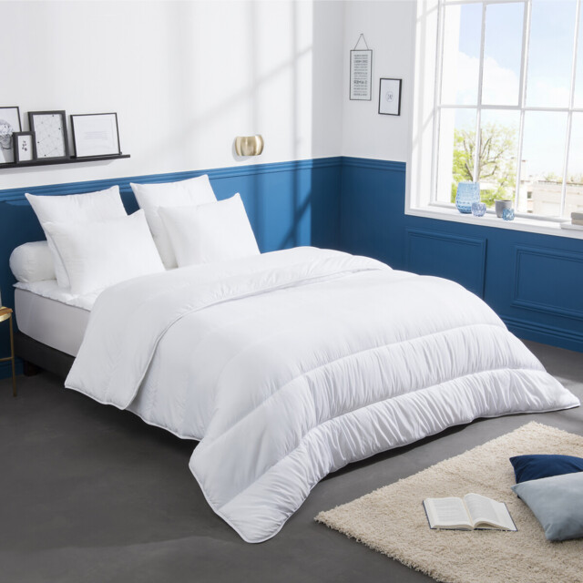 Extra Warm Duvet Inflatable & Anti-Dust Mite - image 1