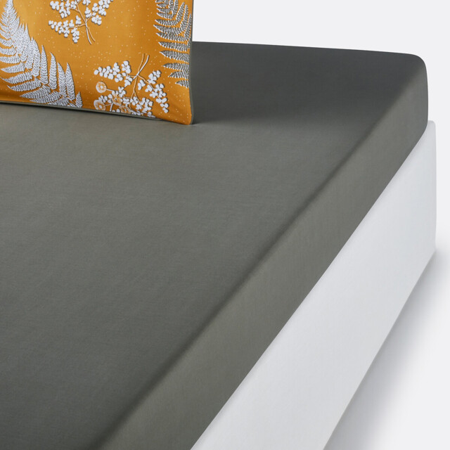 Fougère Cotton Percale Fitted Sheet