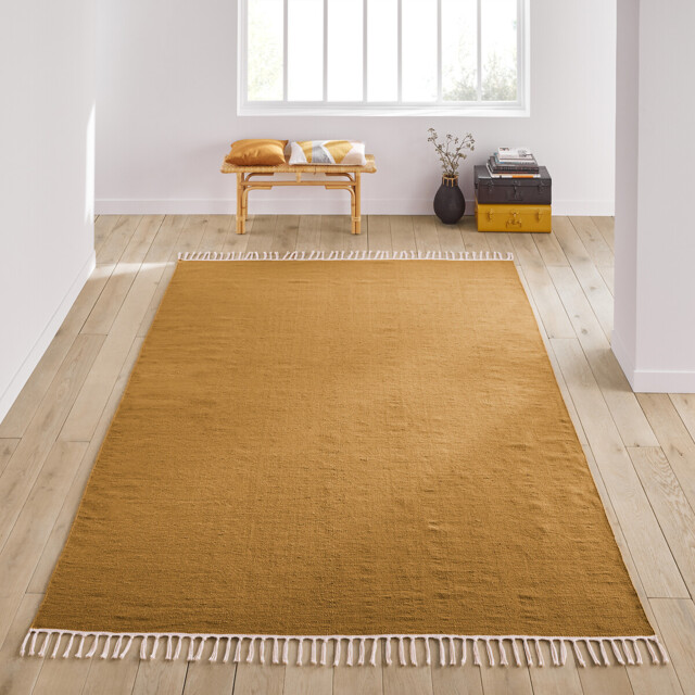 Azalée Recycled Polyester Indoor / Outdoor Rug - image 1