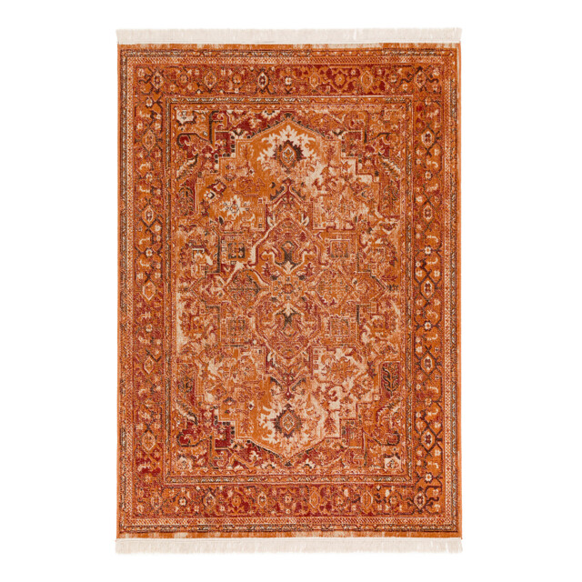 Rabeo Persian Style Cotton Blend Rug