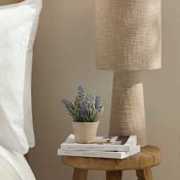 Kew Lavender Plant in Cement Pot - 18cm - thumbnail 2