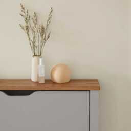 Windsor Shoe Cabinet - 2 Door - Grey - thumbnail 4