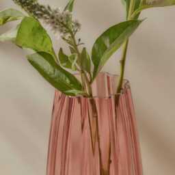 Veneto 29cm Glass Vase - Cerise - thumbnail 4