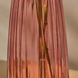 Veneto 29cm Glass Vase - Cerise - thumbnail 5