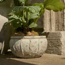 Viana Terracotta 14.5cm Wide Pot - Rustic Green - thumbnail 2