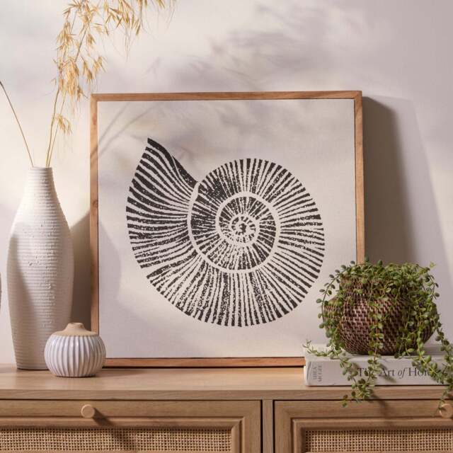 Newlyn 45x45cm Wall Art - Shell II - image 1
