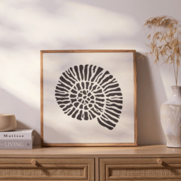 Newlyn 45x45cm Wall Art - Shell II - thumbnail 2