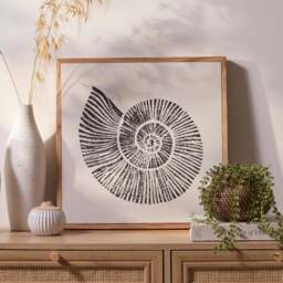 Newlyn 45x45cm Wall Art - Shell II - thumbnail 1