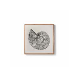 Newlyn 45x45cm Wall Art - Shell II - thumbnail 6
