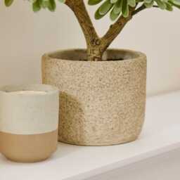 Kew Succulent in Cement Pot - 40cm - thumbnail 2
