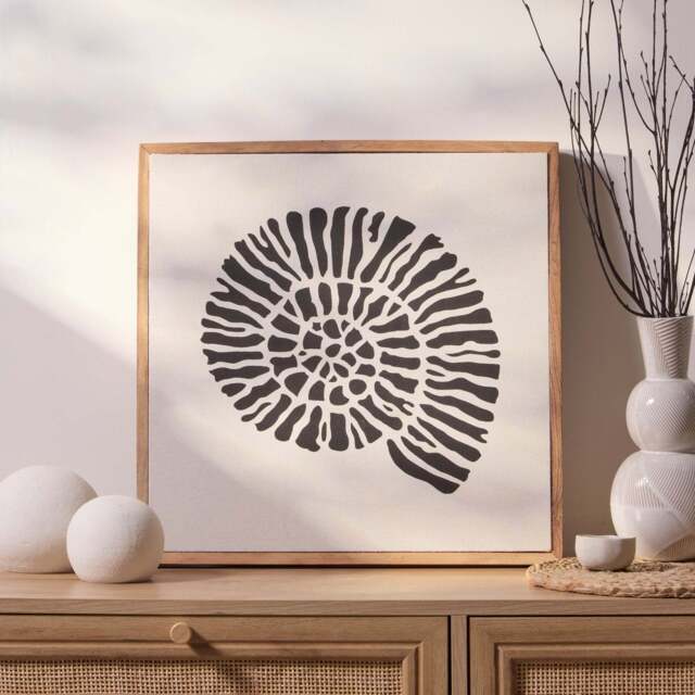 Newlyn 45x45cm Wall Art - Shell III - image 1