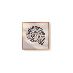 Newlyn 45x45cm Wall Art - Shell III - thumbnail 6