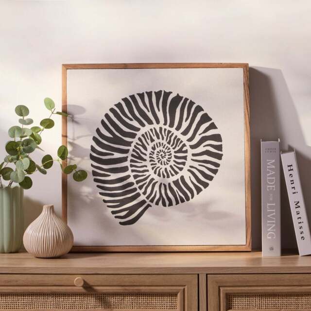 Newlyn 45x45cm Wall Art - Shell I - image 1