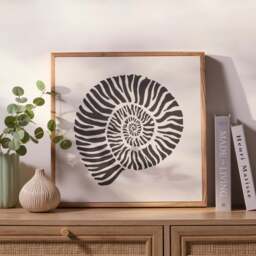 Newlyn 45x45cm Wall Art  - Shell I - thumbnail 1