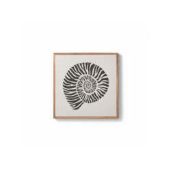 Newlyn 45x45cm Wall Art  - Shell I - thumbnail 6