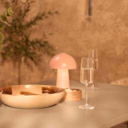 Shiro Pale Grey Concrete Dining Table Set - 6 Seater - Shiro Pink Rope Dining Chairs - thumbnail 5