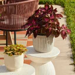Carlotta Round Concrete Garden Side Table - Pearl Terrazzo - thumbnail 6