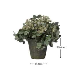 Kew 24cm Arachis Flower In Paper Mache Pot - thumbnail 5
