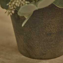 Kew 24cm Arachis Flower In Paper Mache Pot - thumbnail 3
