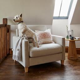 Ava Sand Armchair - Pale Oak Legs - thumbnail 2