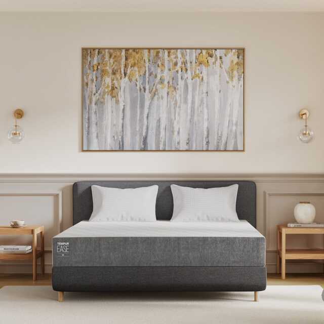 Tempur Ease 25 Mattress, Super King - image 1