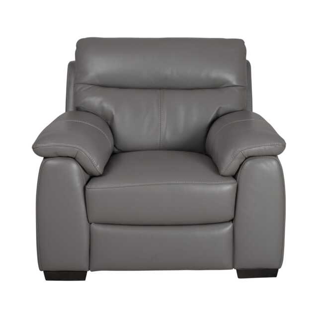Casa Foster Leather Armchair, Elephant - image 1