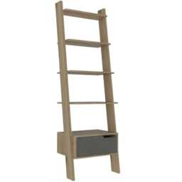 Casa Macie Ladder Bookcase