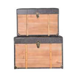 Casa Cushioned Storage Trunk, Medium, Brown