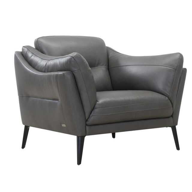 Casa Austin Leather Armchair, Charcoal - image 1