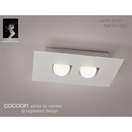 M0127 Cocoon 2 Light Silver Flush Wall Or Ceiling Lamp