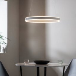 1 Ring Ceiling Pendant Light In Matt Nickel Plate And Frosted Acrylic