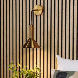 Dar Lighting Ragnar Ceiling Pendant Or Wall Light In Natural Brass Finish