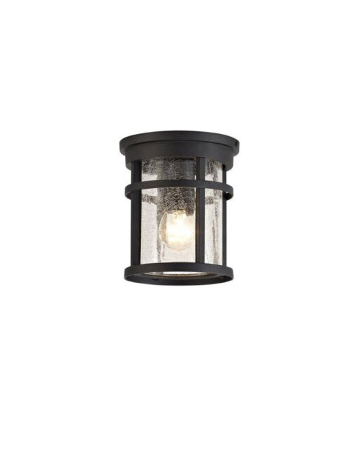 Horton 1 Light Exterior Flush Ceiling Light In Black With Crackled Clear Glass