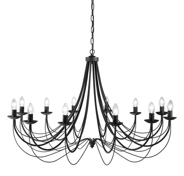 Philly 12 Light Ceiling Chandelier In Satin Black Finish FL2173/12