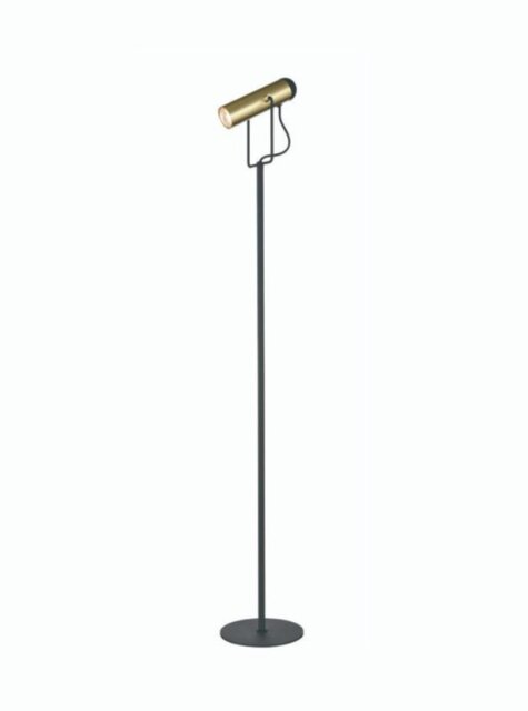 Spot Reading Floor Lamp In Black And Satin Gold Finish S253
