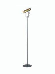 Franklite Spot Reading Floor Lamp In Black And Satin Gold Finish SL253