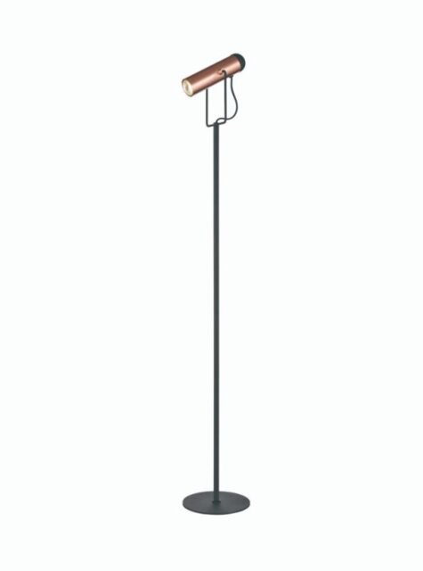 Franklite Spot Reading Floor Lamp In Black And Copper Finish SL252