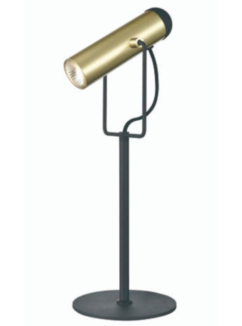 Spot Desk Lamp In Black And Satin Gold Finish T607