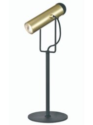 Franklite Spot Desk Lamp In Black And Satin Gold Finish TL607