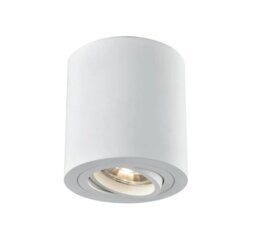 Franklite CF5774 Directional Flush Ceiling Light In White Finish