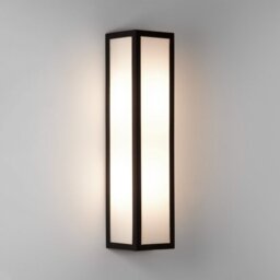 Astro 1178009 Salerno 350 Outdoor Wall Light In Textured Black With Frosted Glass IP44