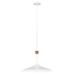 FE-DARWIN-P Darwin 1 Light Ceiling Pendant In White