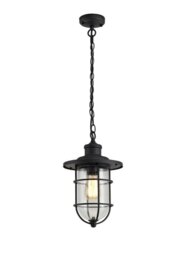 Haworth 1 Light Exterior Ceiling Pendant In Black And Gold With Clear Glass