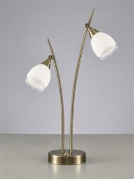 Franklite TL984 2 Light Table Lamp In Bronze With Clear Edged White Glass Shades